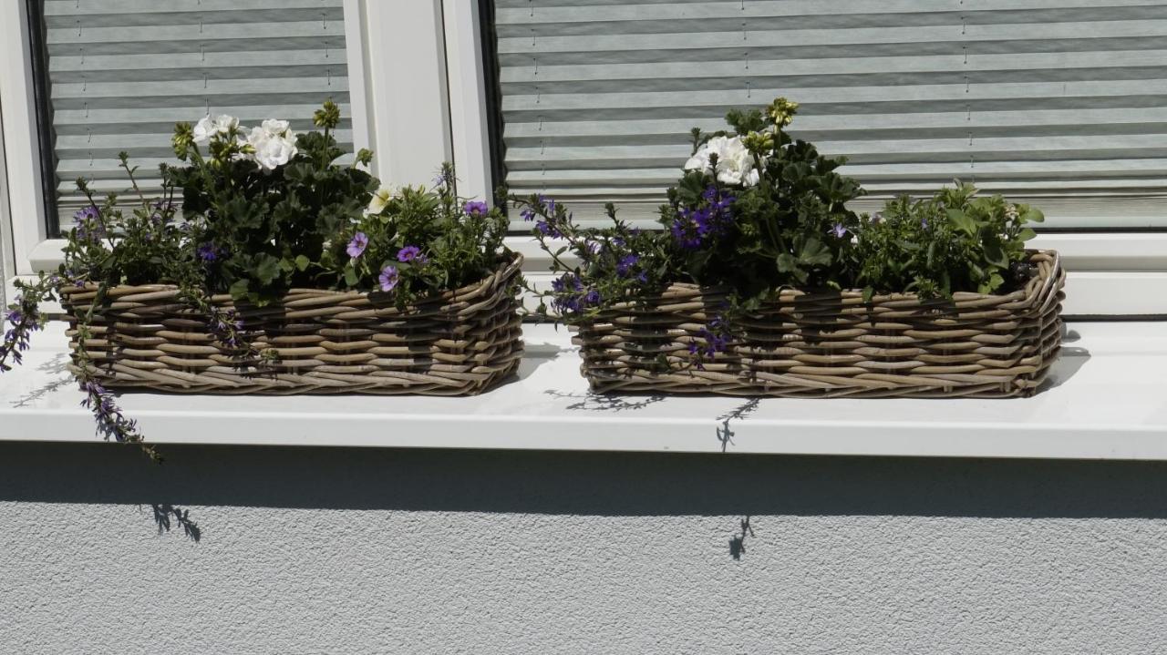 Ferienwohnung Wiesenblick Nahe Region Celle Und Hannover Buchholz - Aller Exterior foto