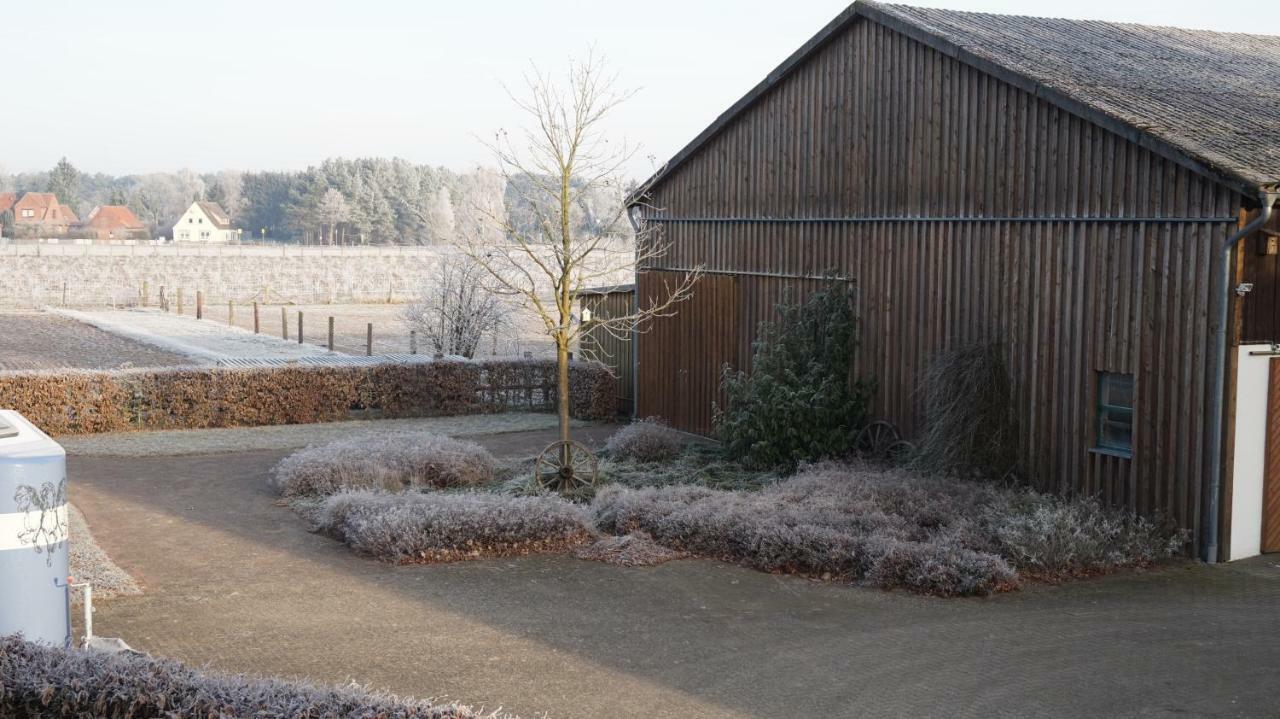 Ferienwohnung Wiesenblick Nahe Region Celle Und Hannover Buchholz - Aller Exterior foto